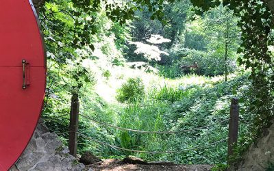 Schlosspark Dennenlohe – ein Muss für jeden Gartenfreund
