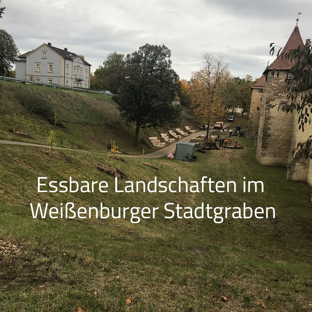 Essbare Landschaften im Weißenburger Stadtgraben